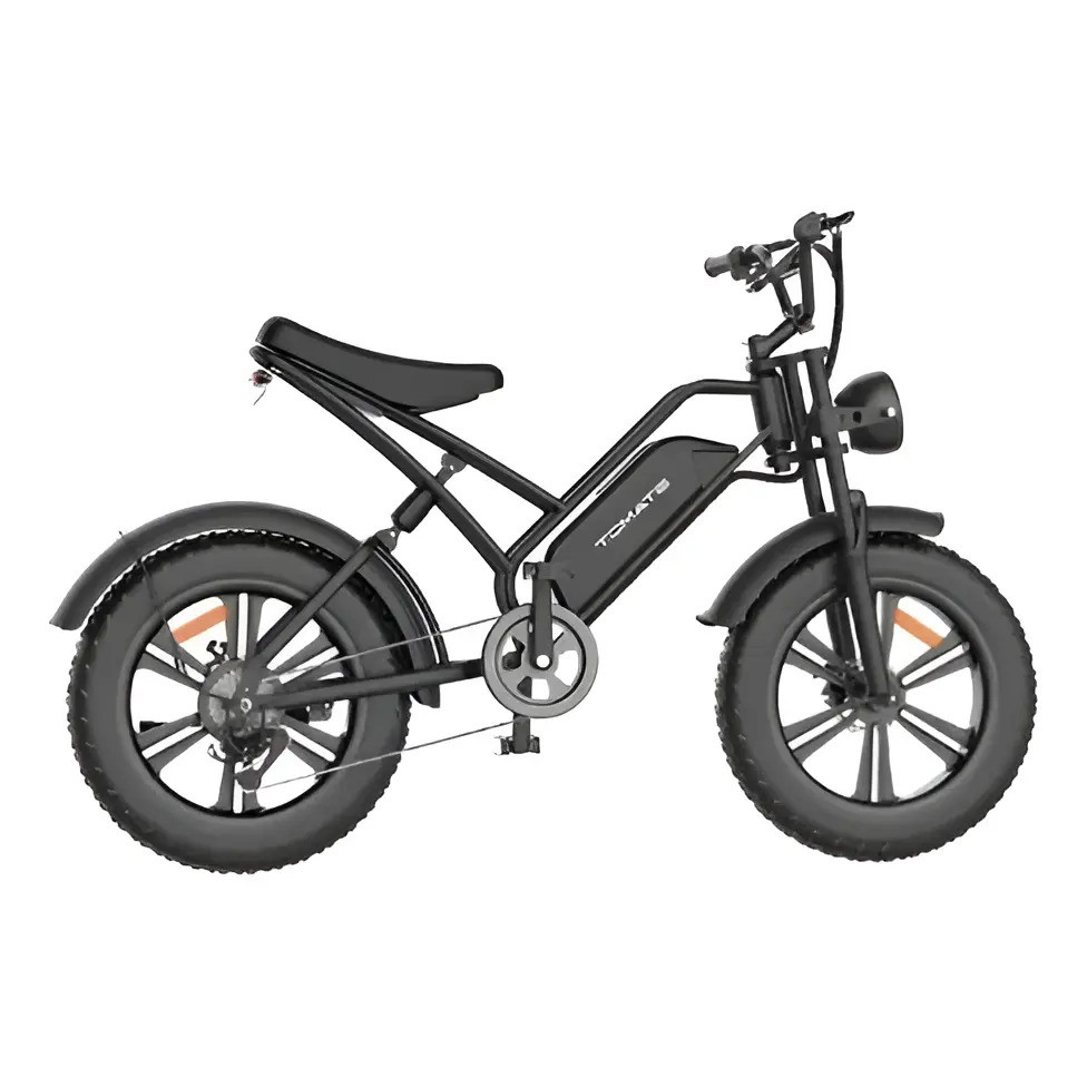 Bicicleta Elétrica 750w Bateria Potente 18ah Ate 45km/h Cor Preto