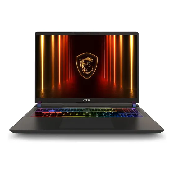 MSI Vector Amd Ryzen 9 Rtx 5070ti 16 GB 1 TB SSD 240 Hz 16